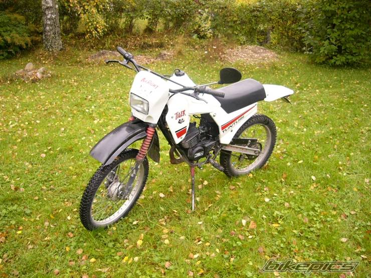 Photo 219373
