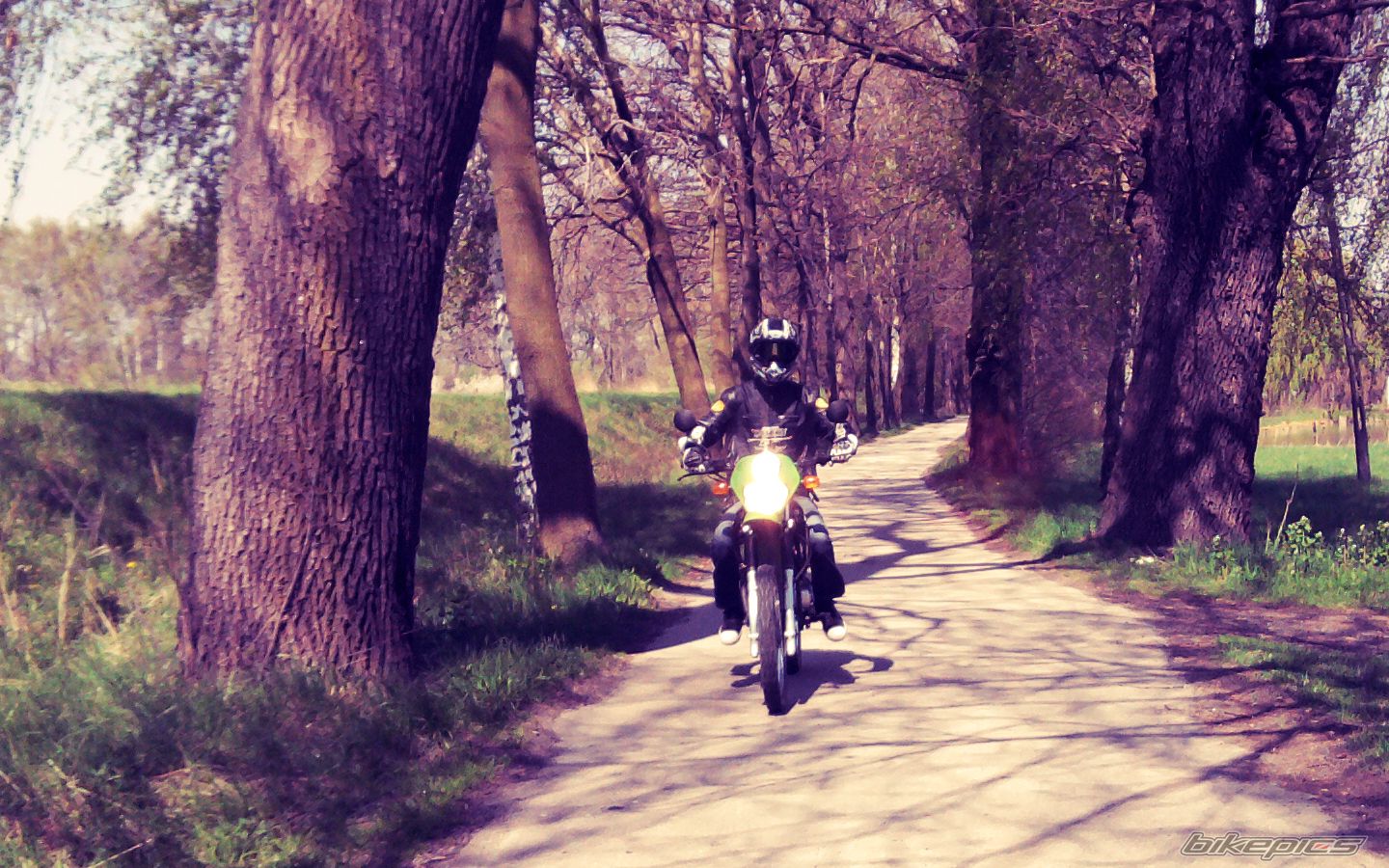 Bike Photo 2193736