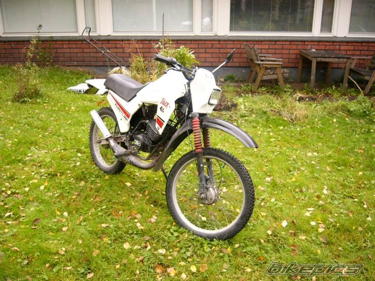 Photo 219376