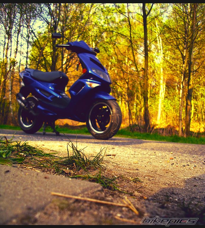 Photo 2193760