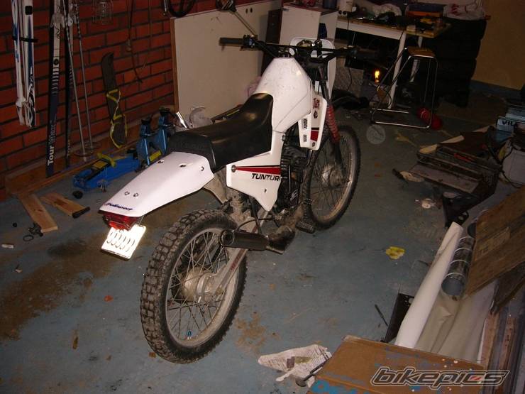 Photo 219377