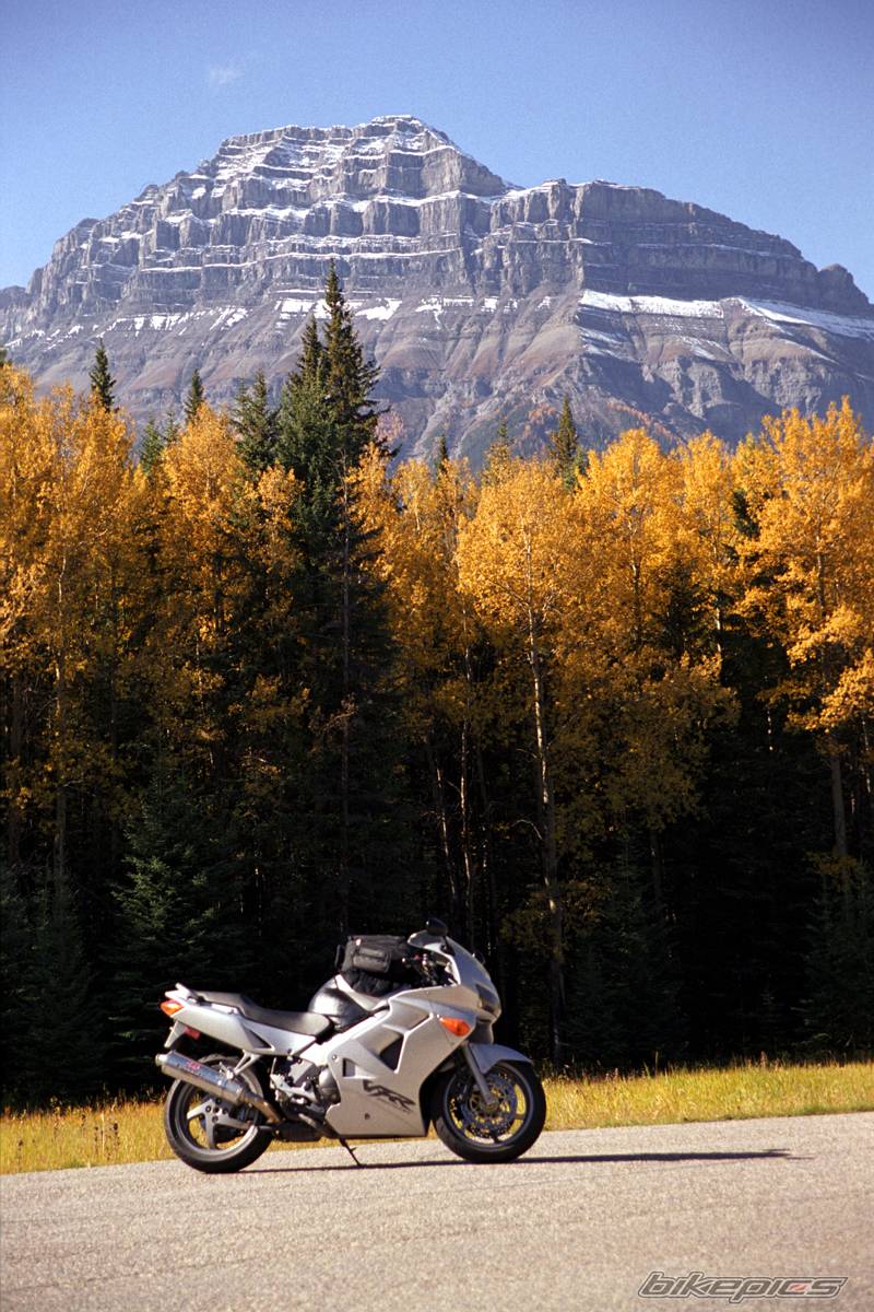 Bike Photo 219378