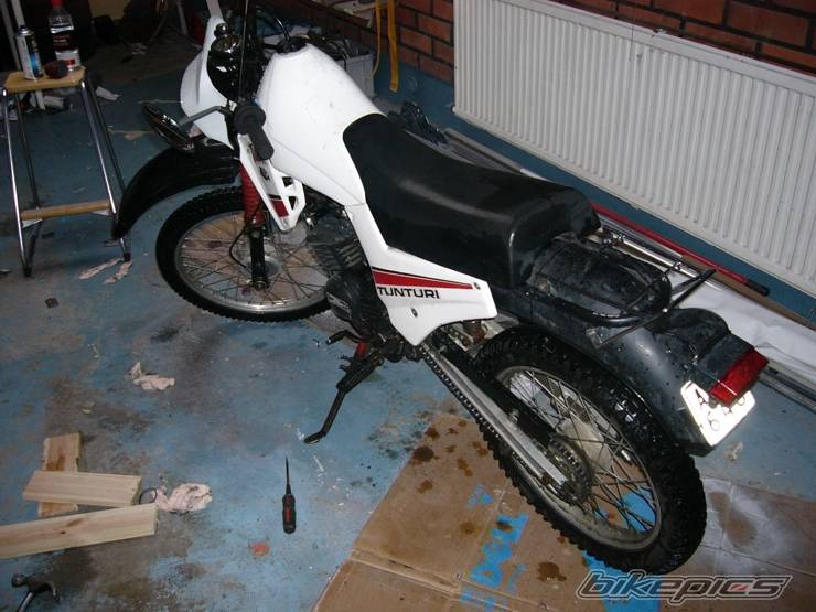 Photo 219379