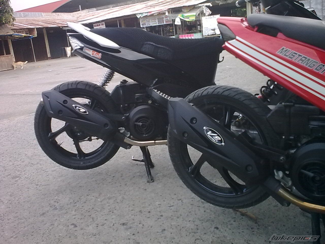 Photo 2193961
