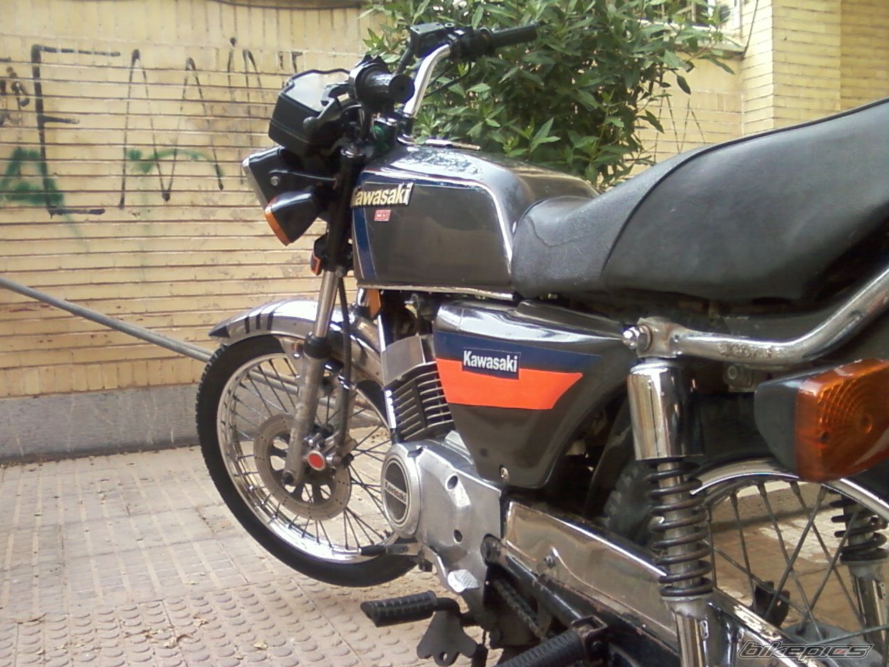 Photo 2194017