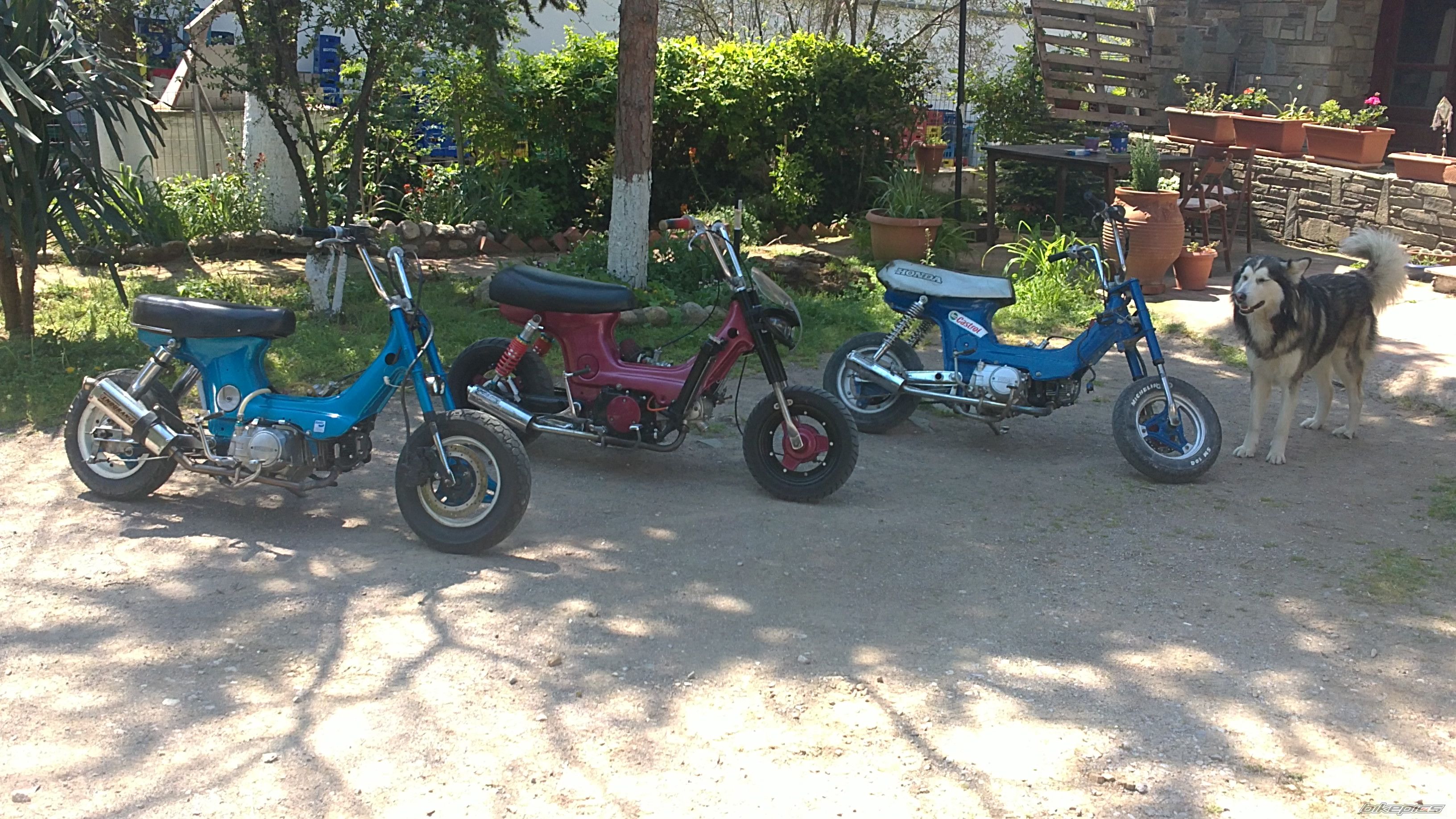 Photo 2194052