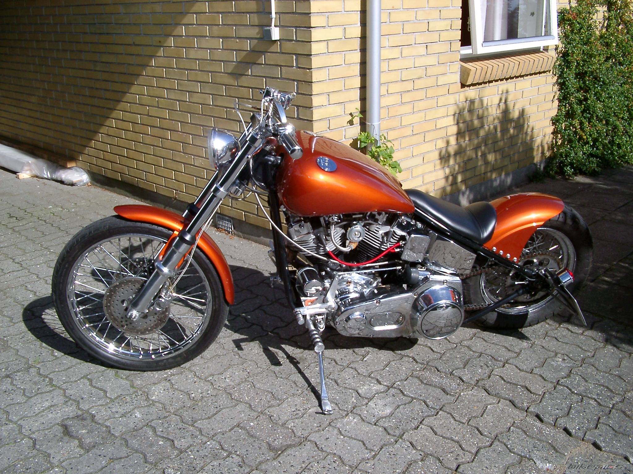 Photo 219426