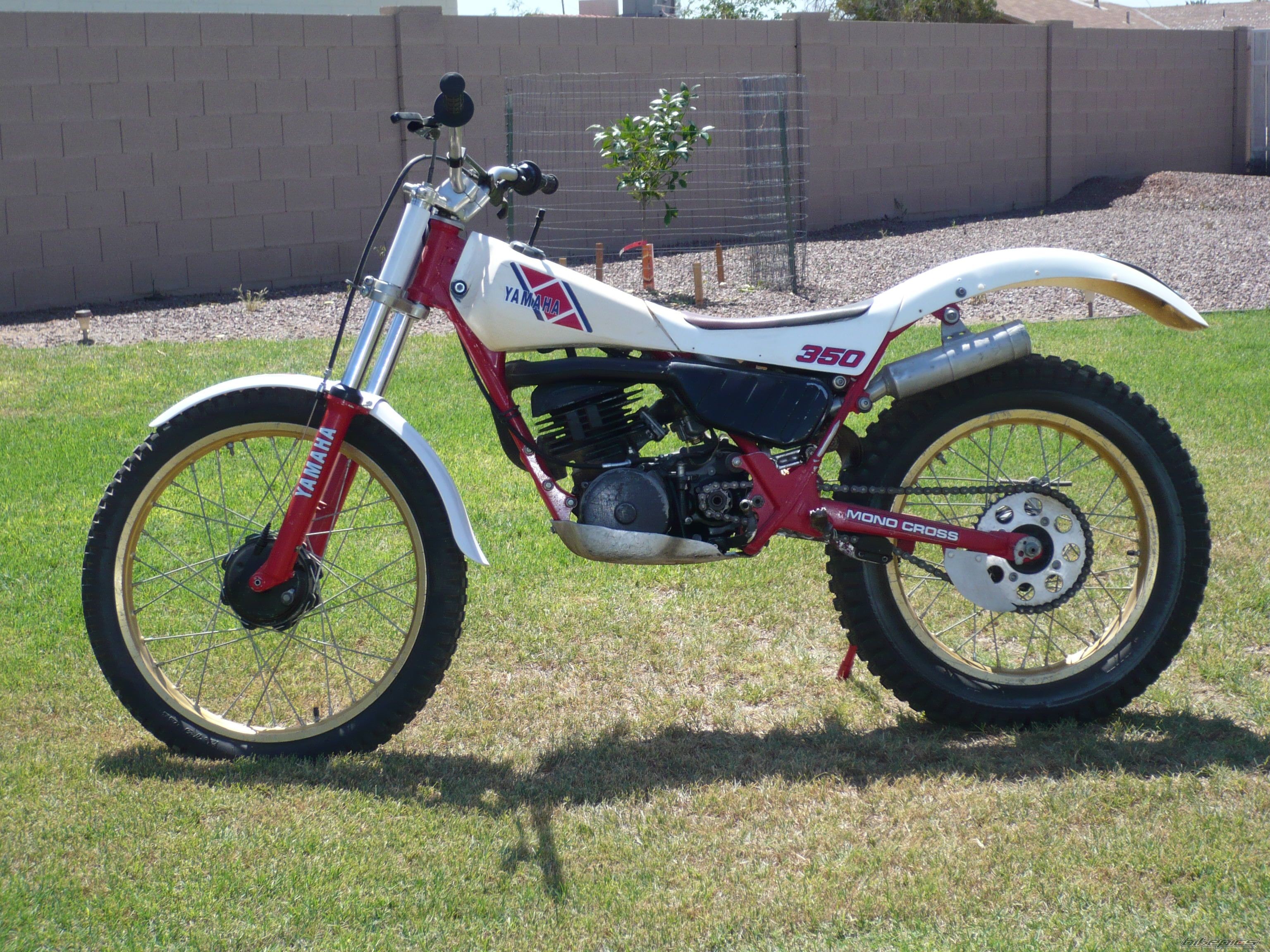 Bike Photo 2194355