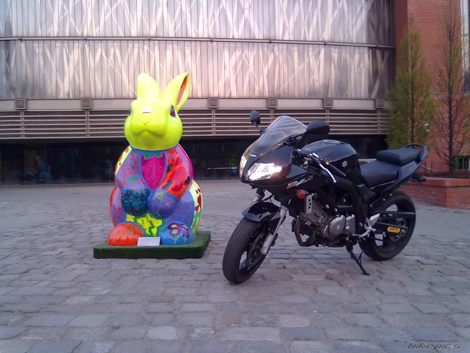 Photo 2194575