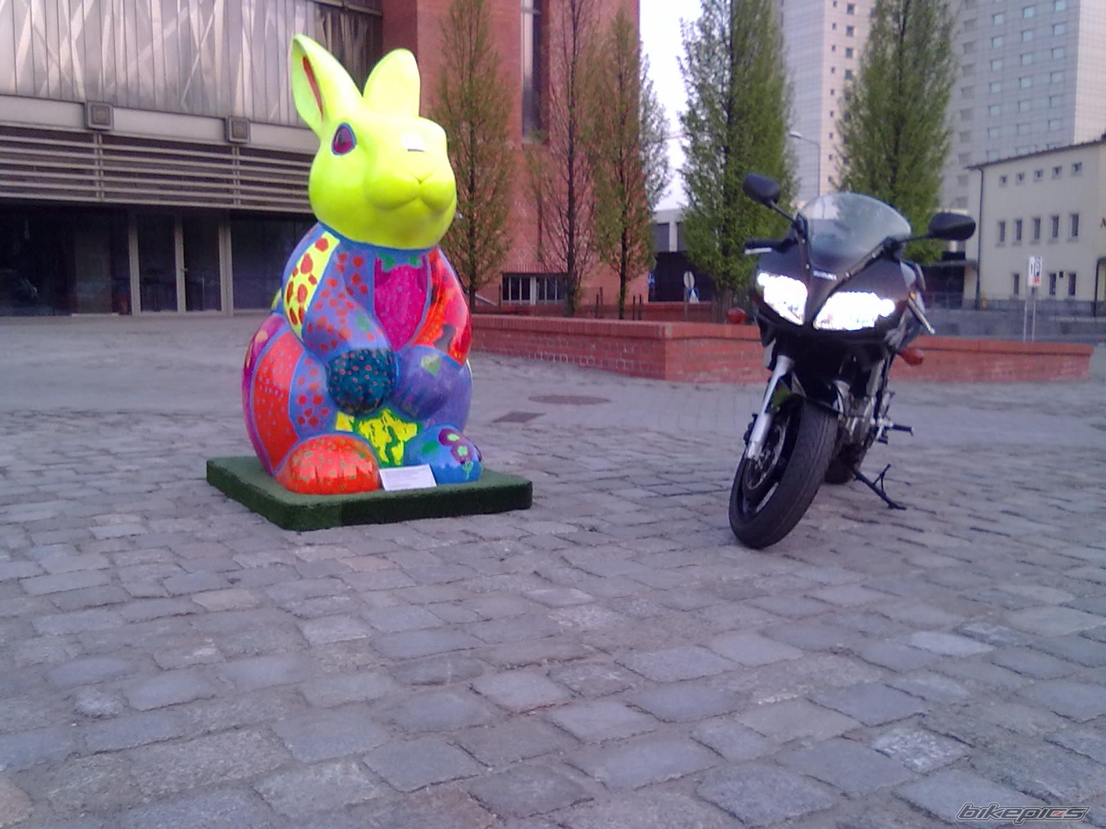 Photo 2194576