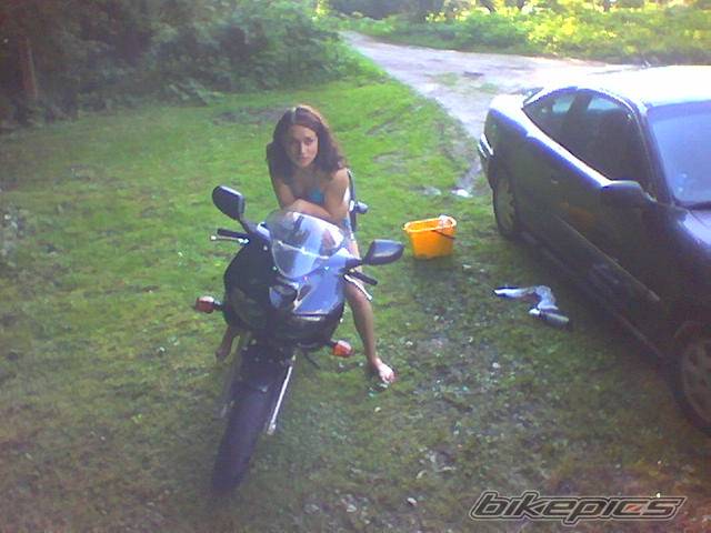 Photo 219464