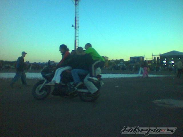 Photo 219466