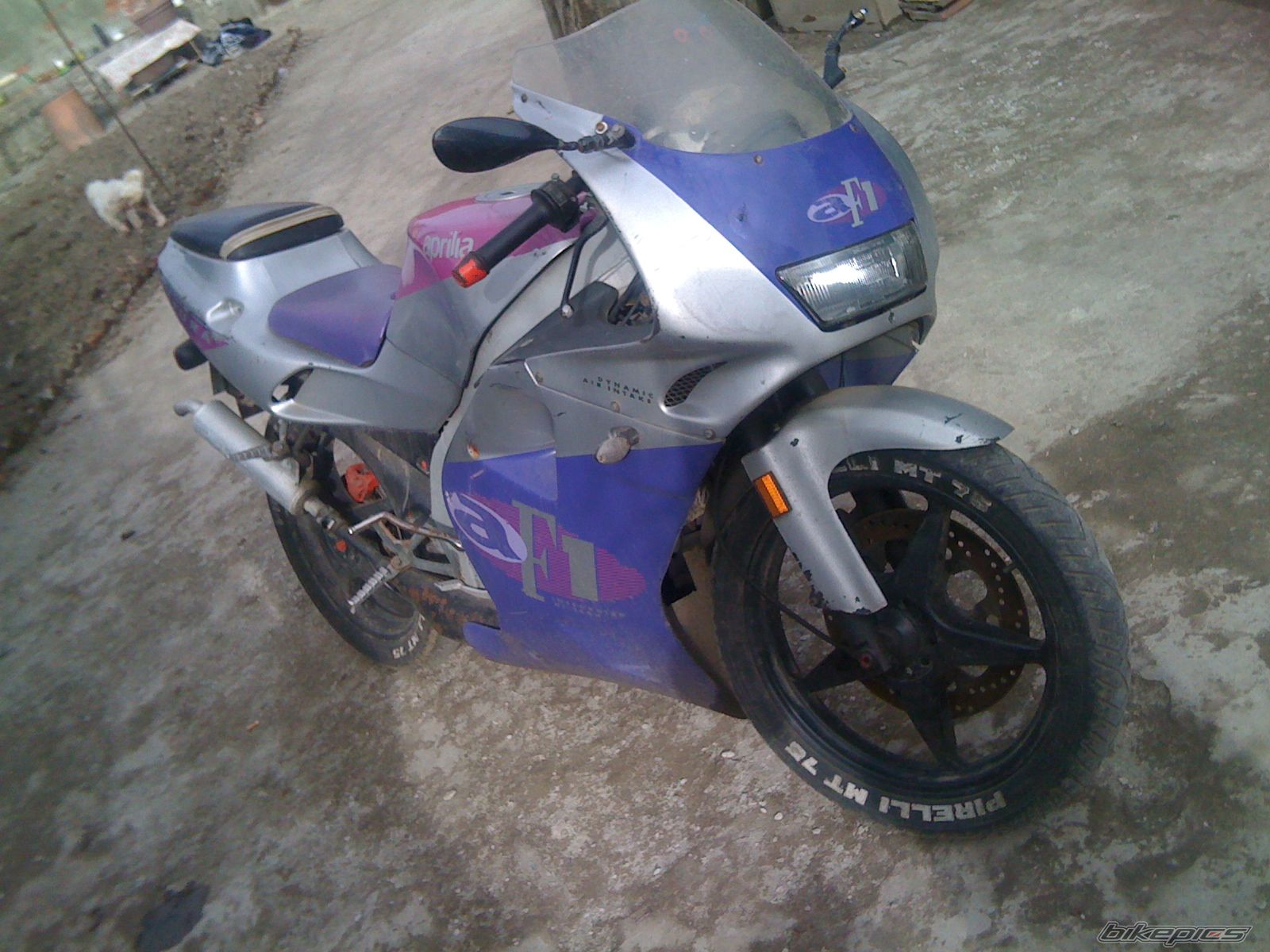 Photo 2194712