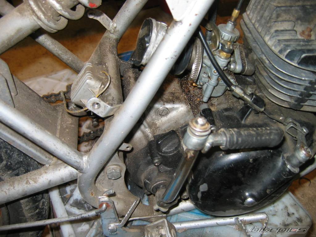 Bike Photo 219481