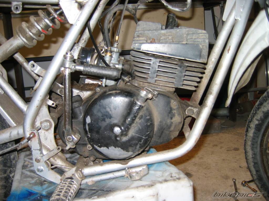 Bike Photo 219483