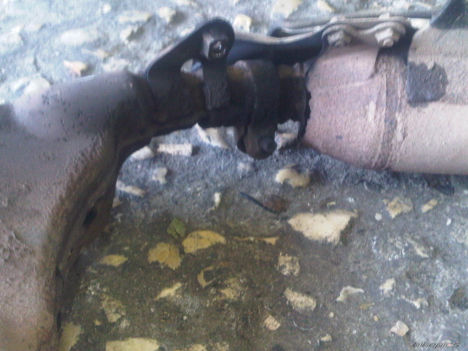 Photo 2195022