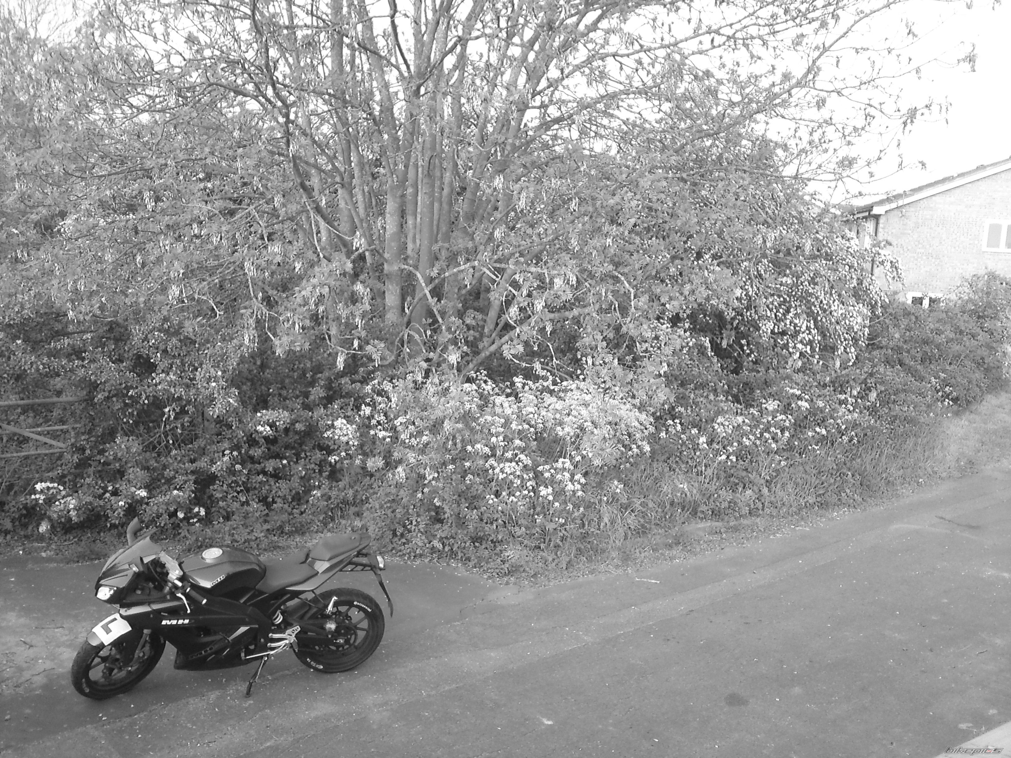 Bike Photo 2195092