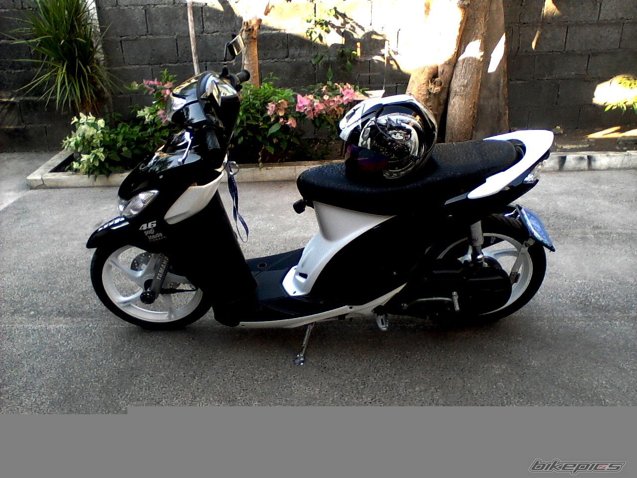 Photo 2195105