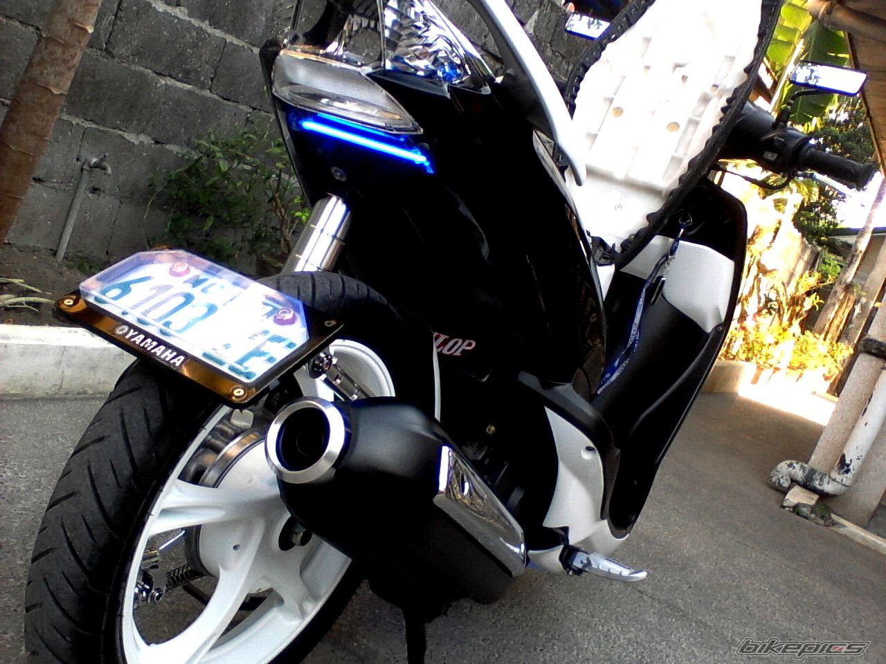 Photo 2195106