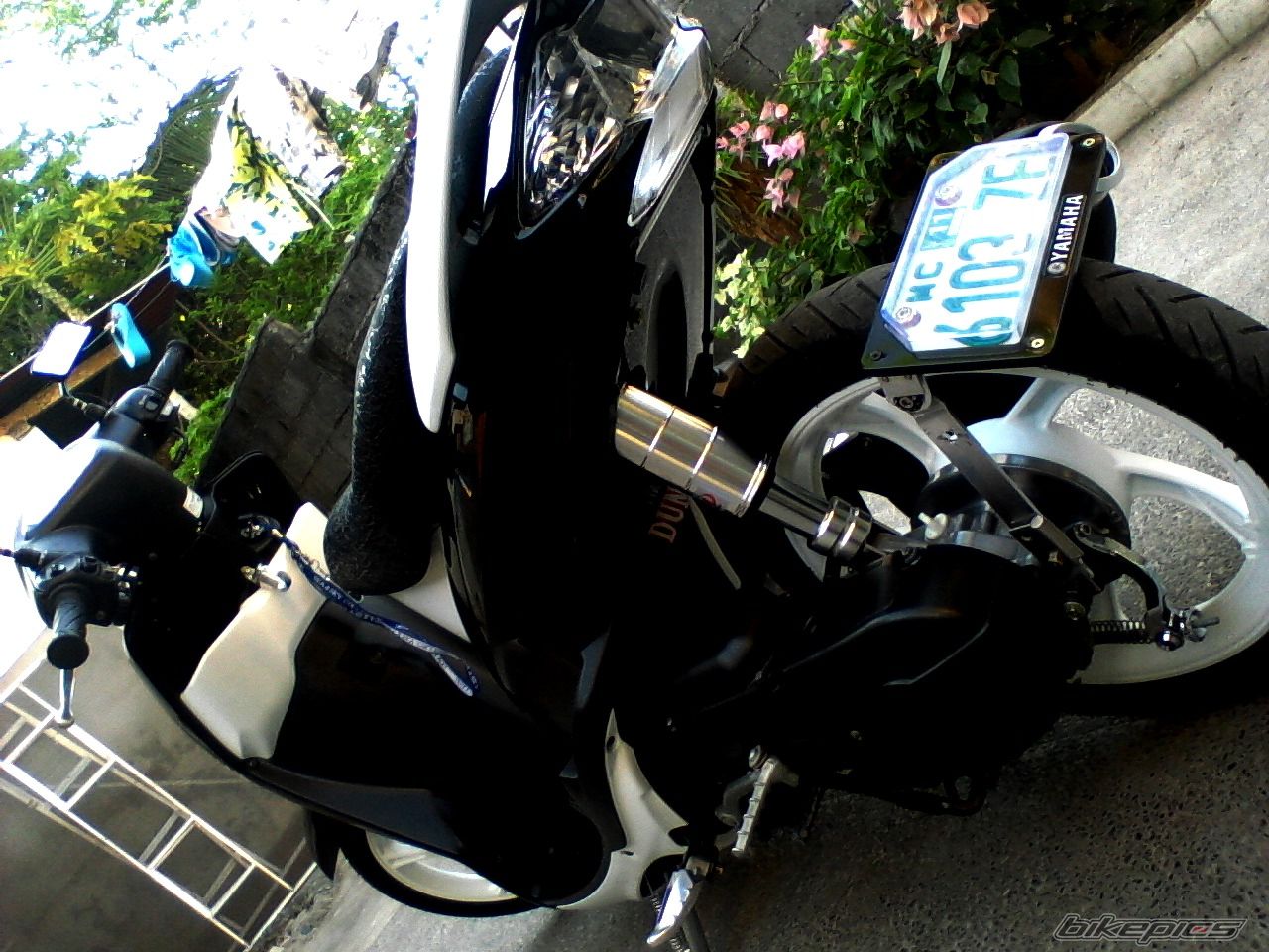 Photo 2195107