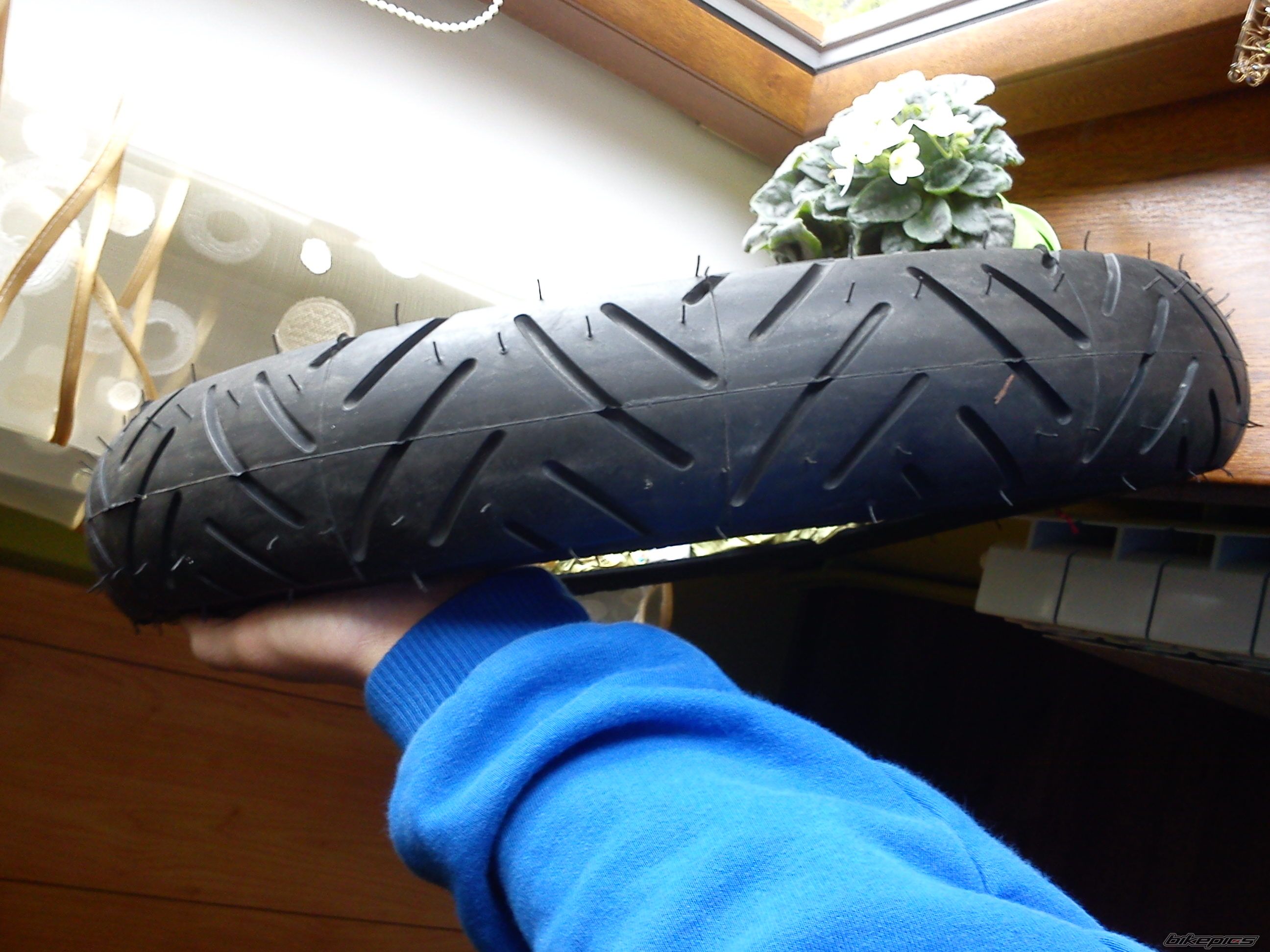 Photo 2195170