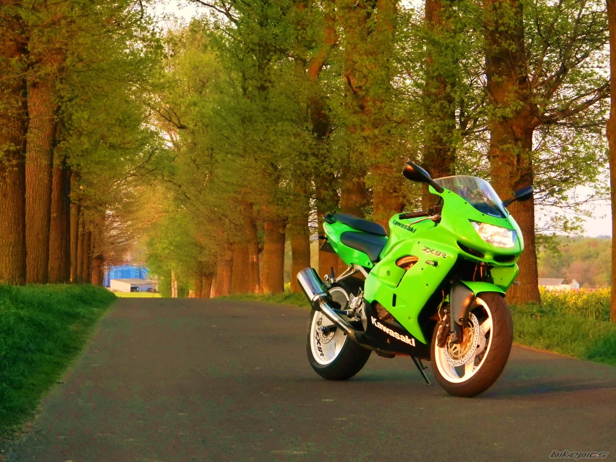Bike Photo 2195186