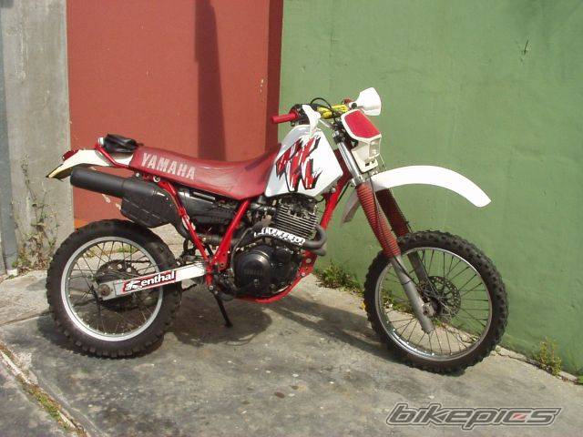 Photo 219527
