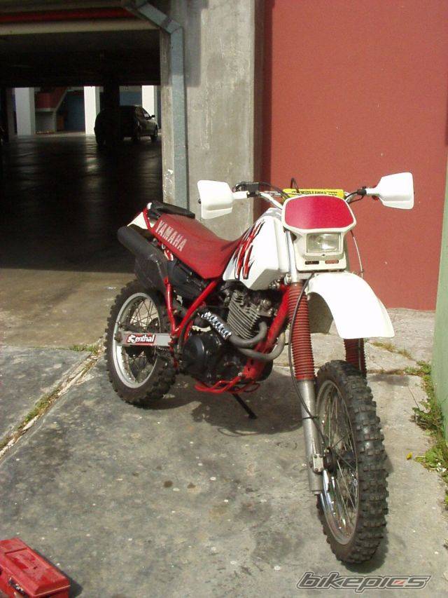 Photo 219531