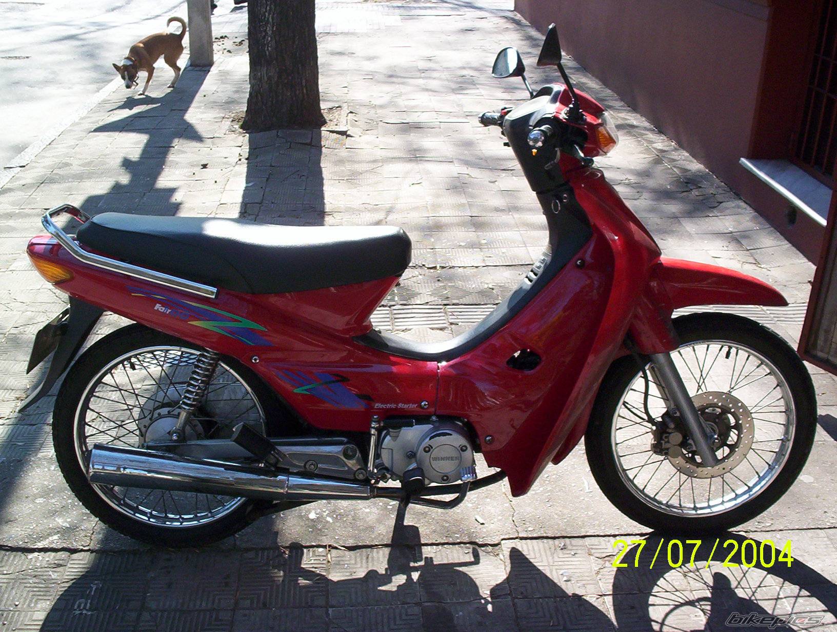 Photo 219541