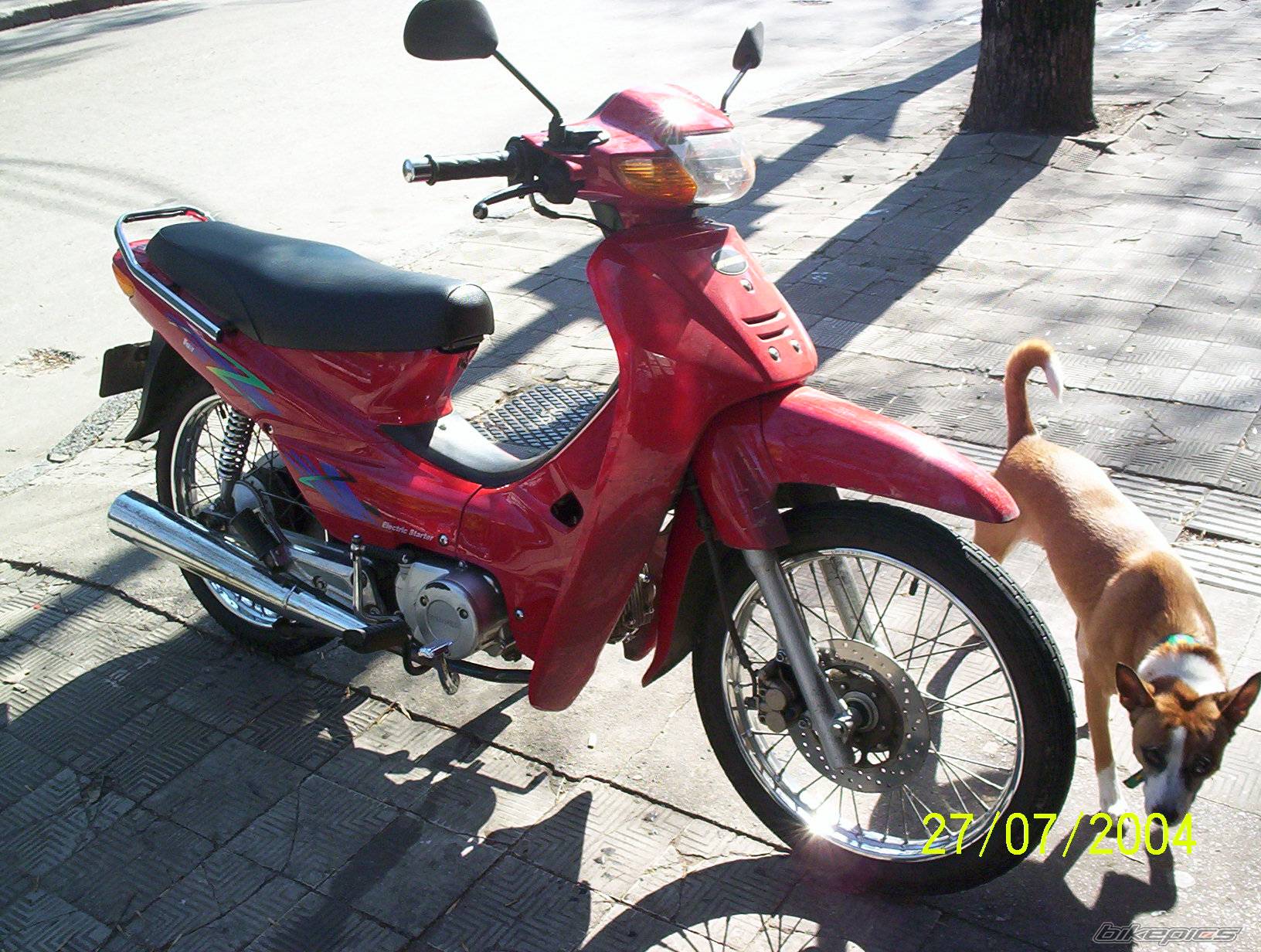 Photo 219546