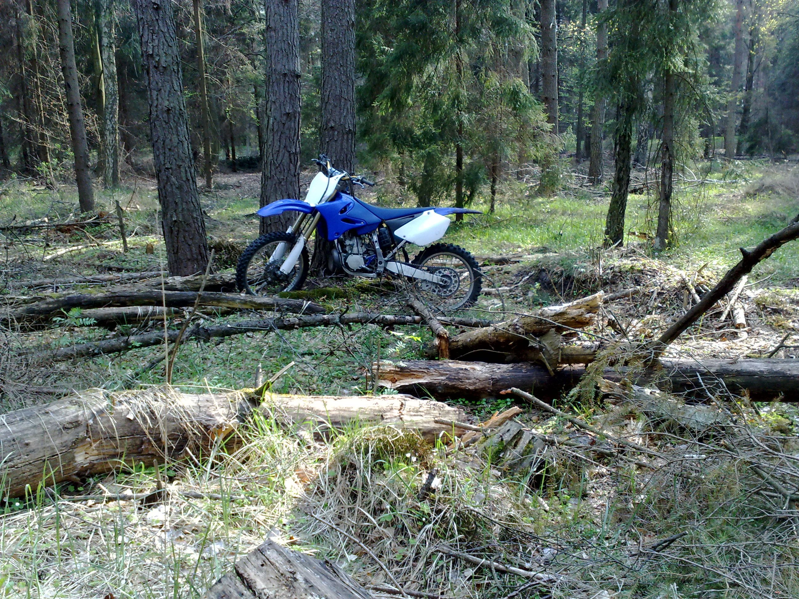 Bike Photo 2195492