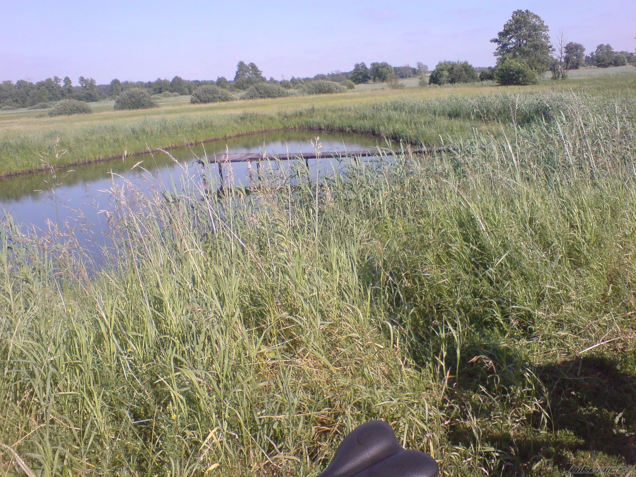 Photo 2195497