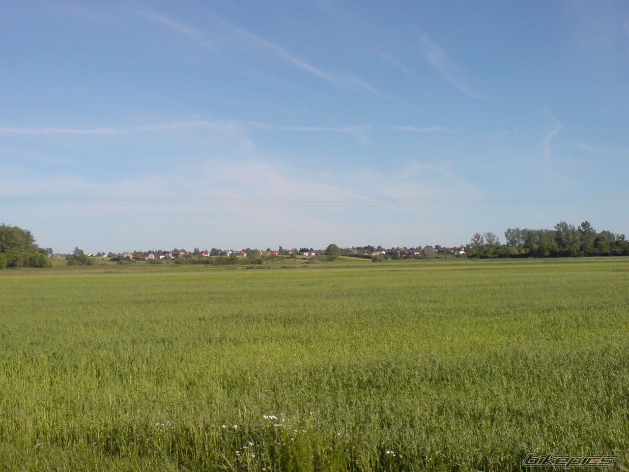 Photo 2195498