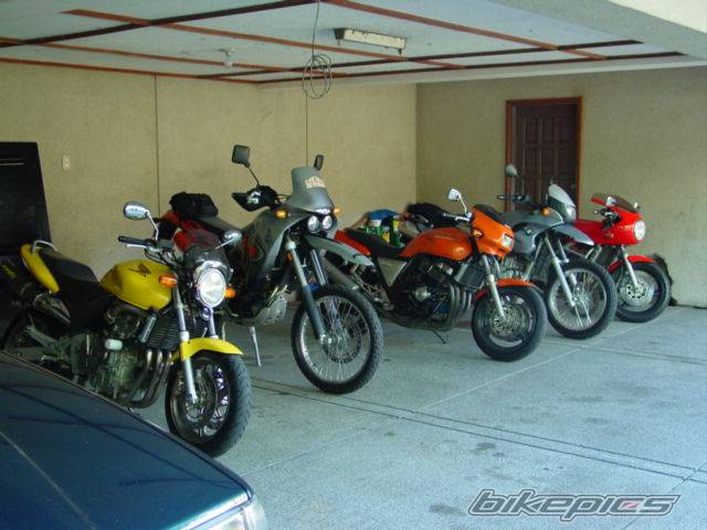 Bike Photo 219556