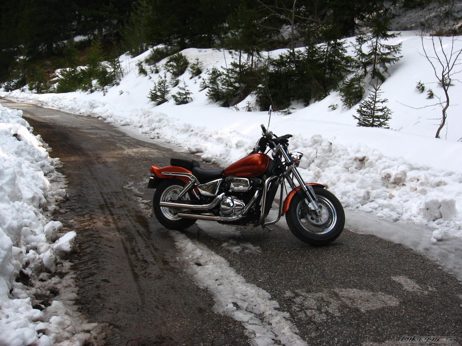Bike Photo 2195585