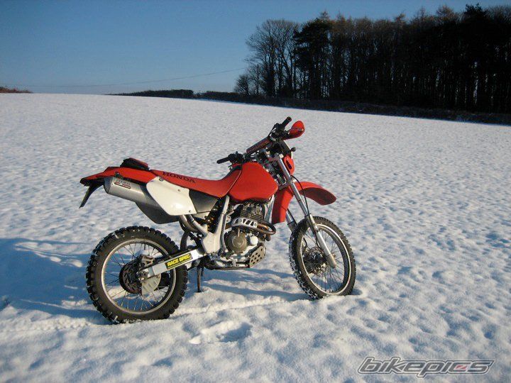 Photo 2195606