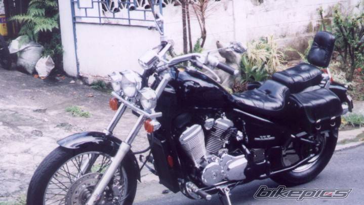 Photo 219568