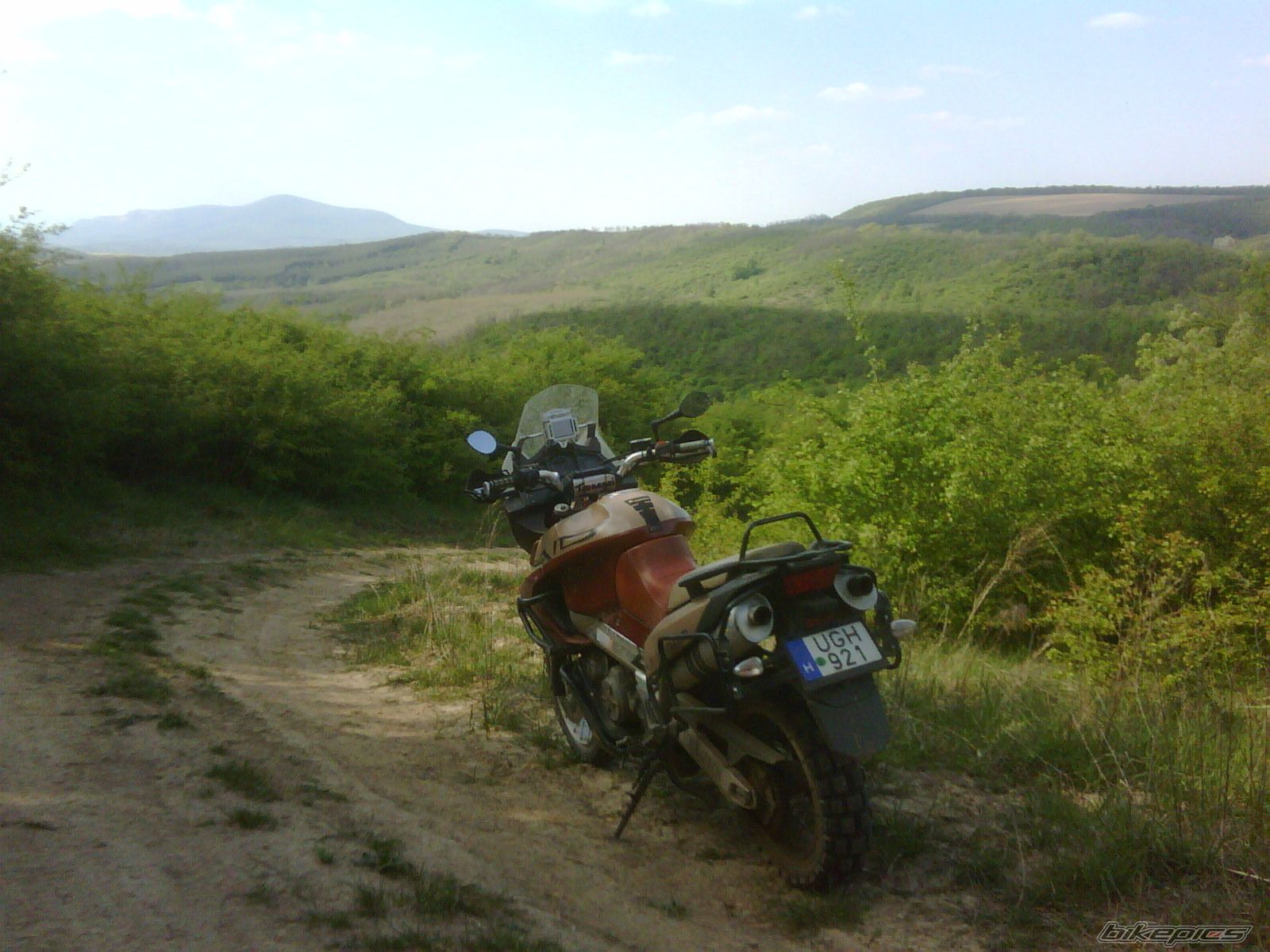 Photo 2195719