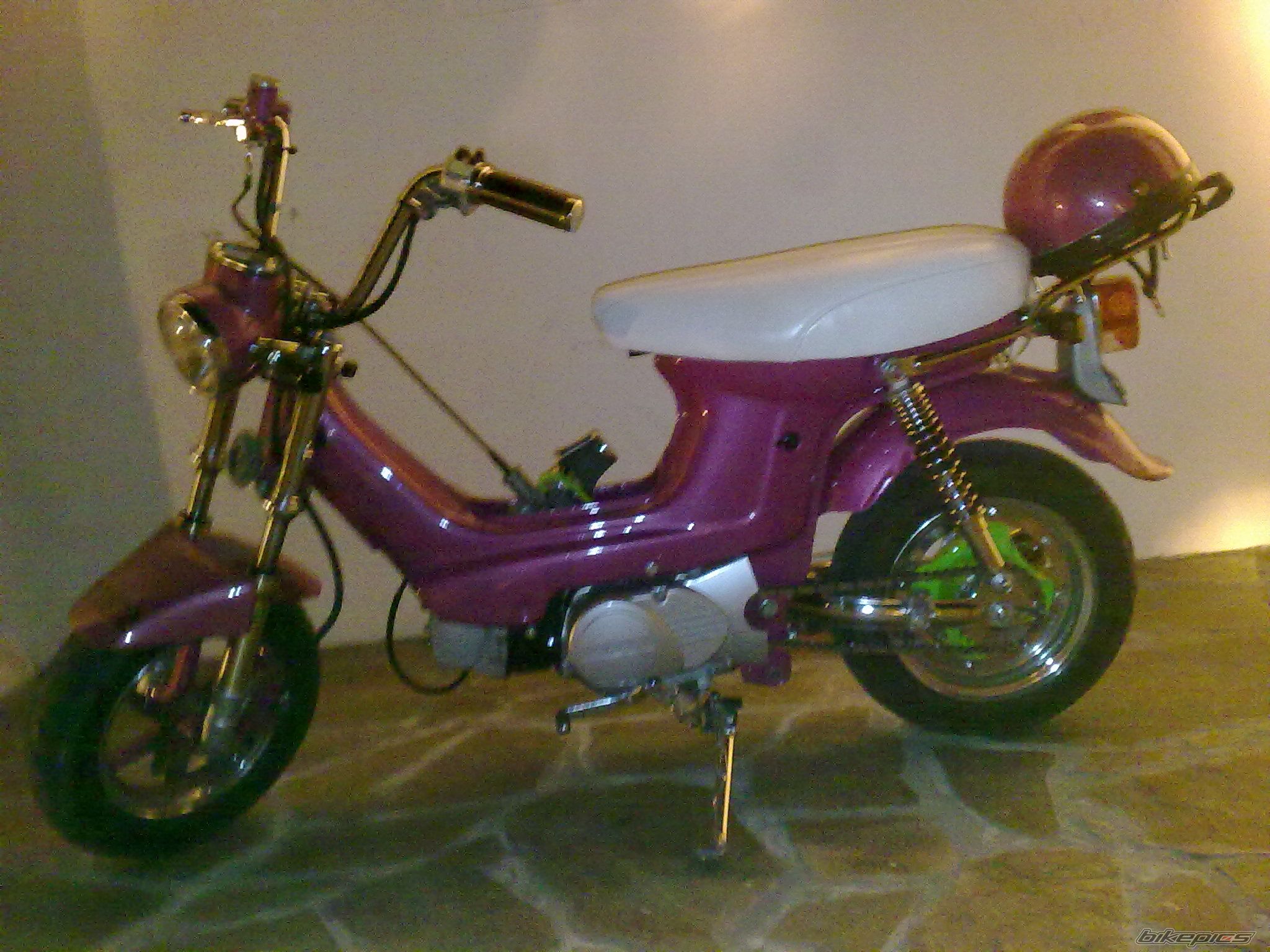 Photo 2195736