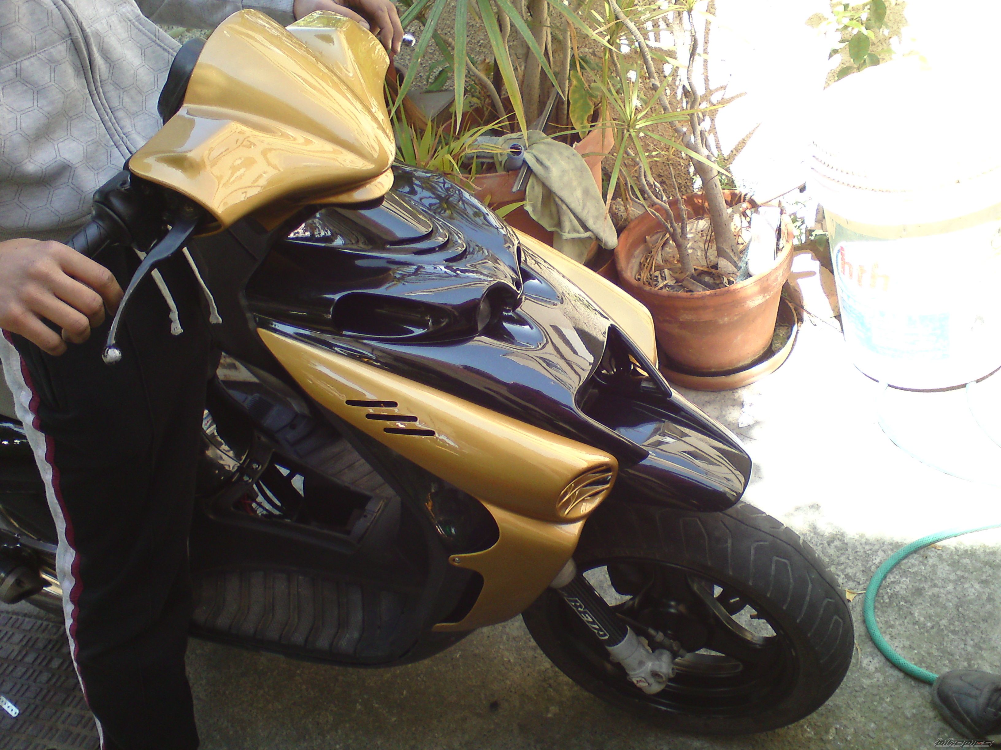 Photo 2195808