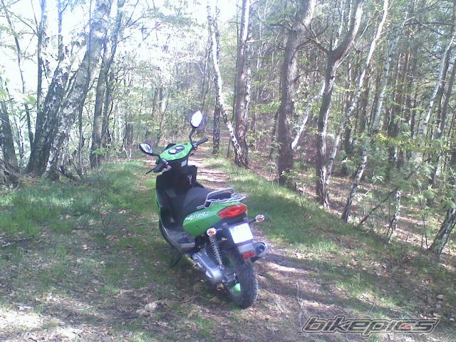 Photo 2195905