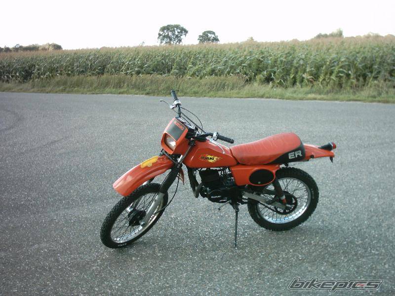Photo 219598