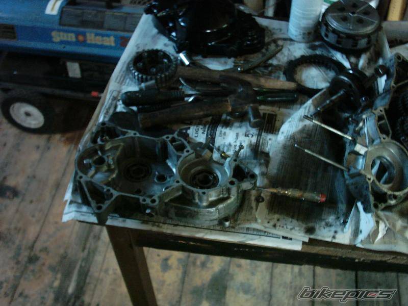 Photo 219604