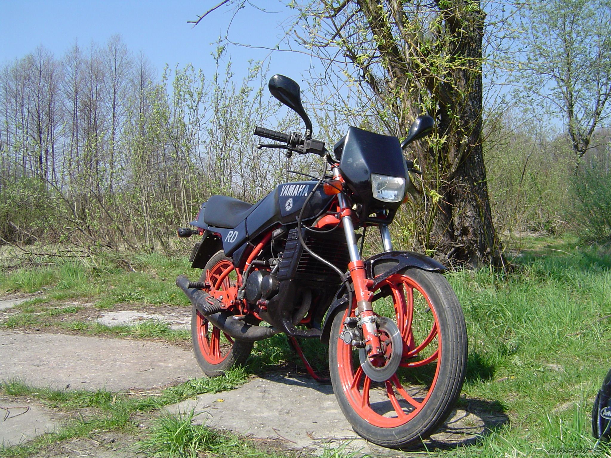 Photo 2196115