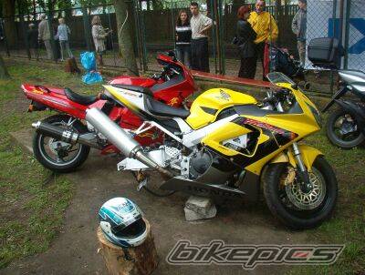 Photo 219615