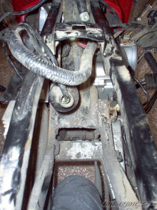 Photo 219620