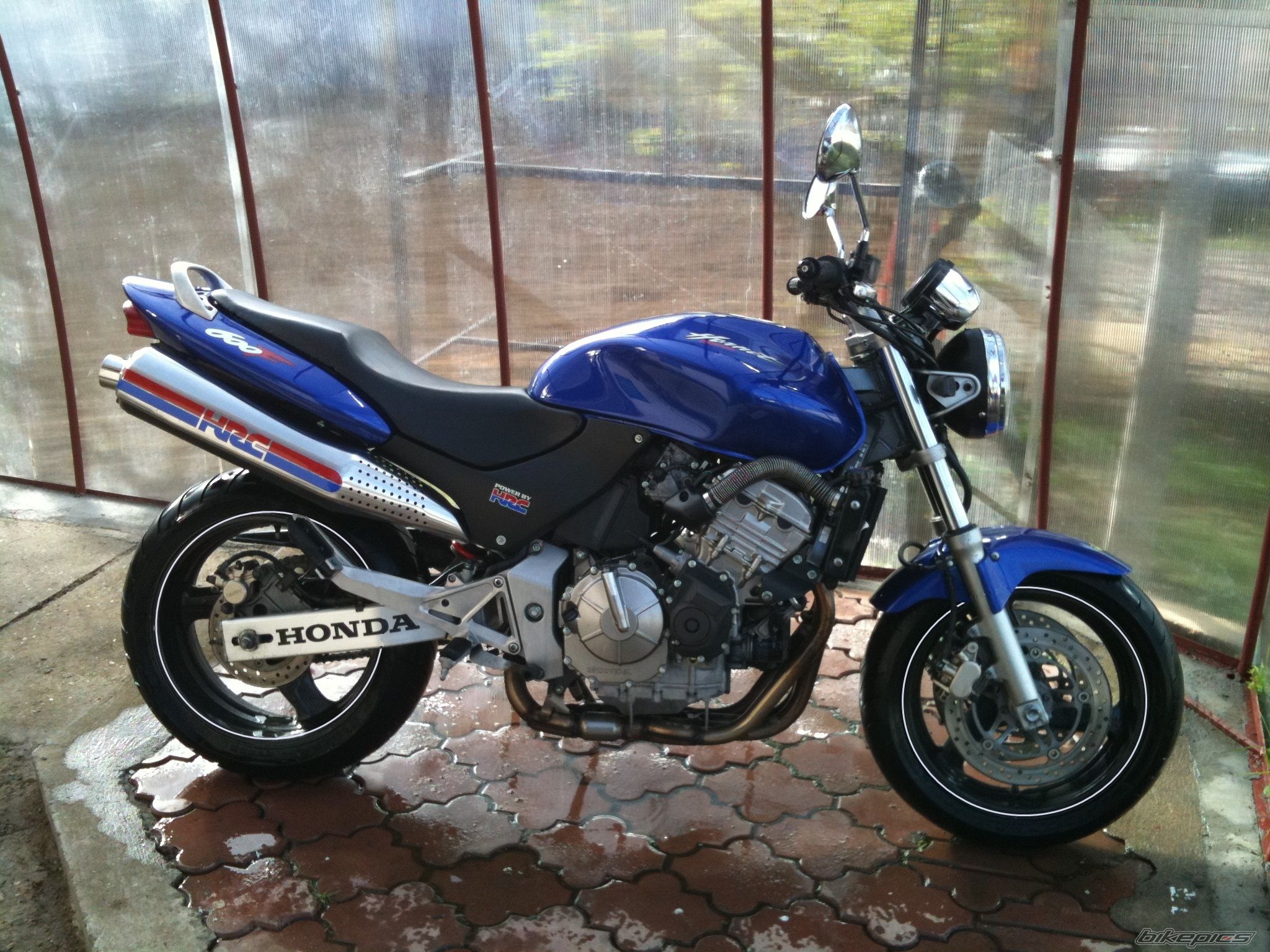 Photo 2196216