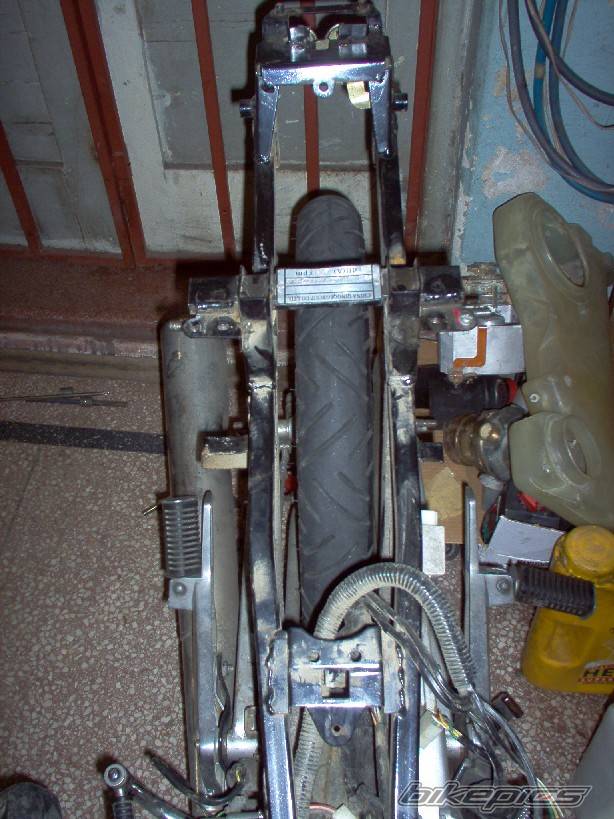 Photo 219622