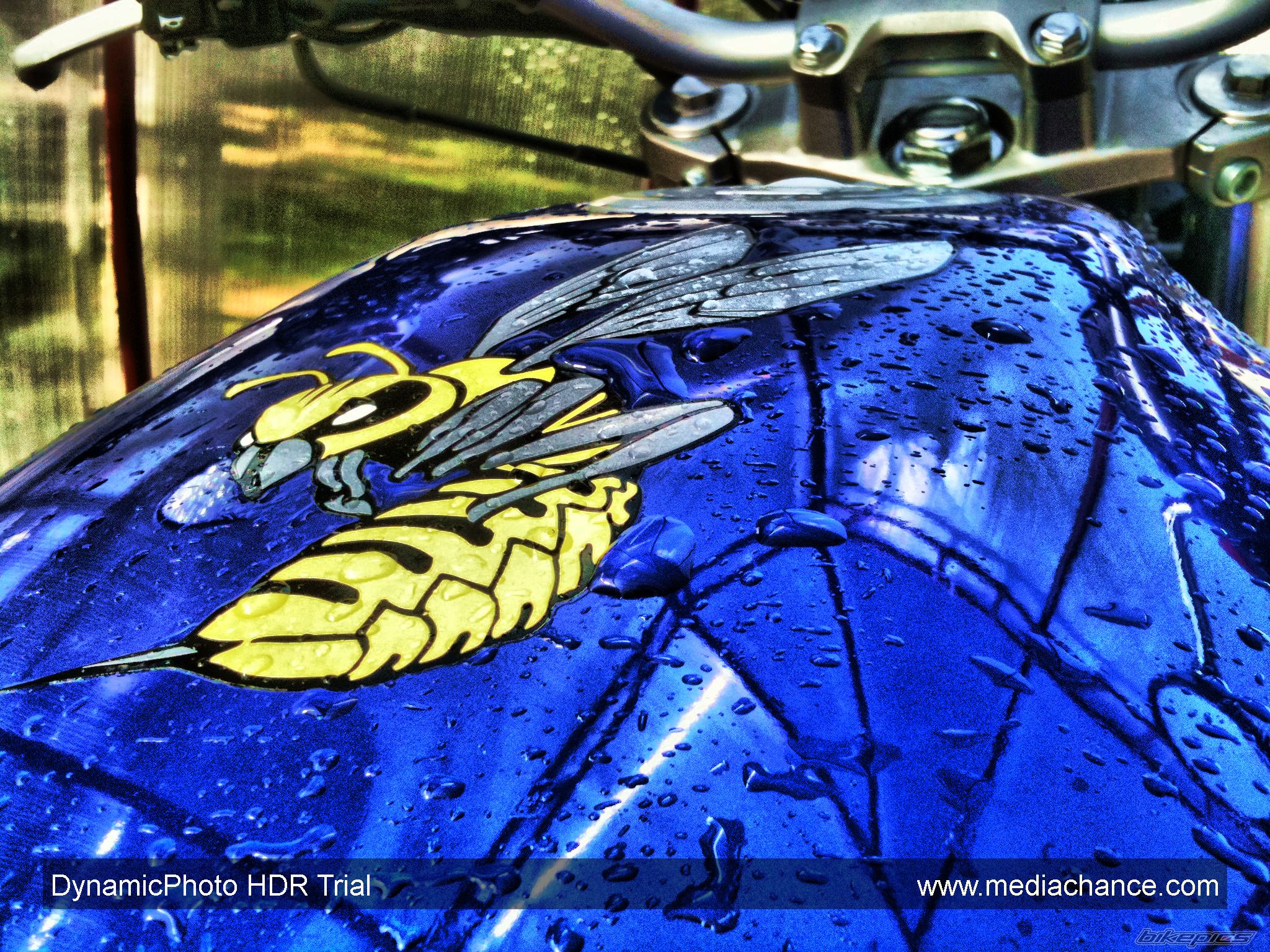 Photo 2196228