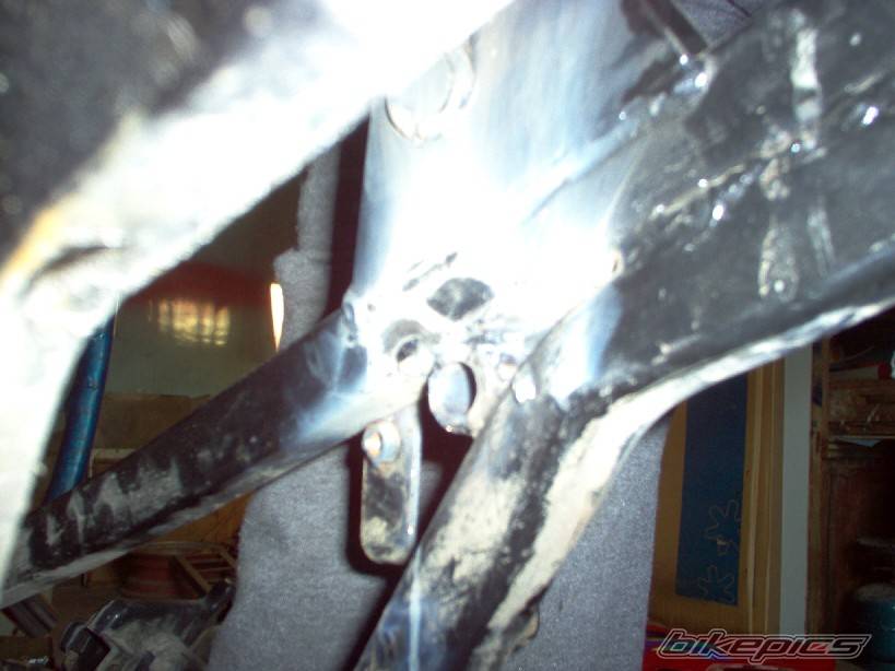 Photo 219626